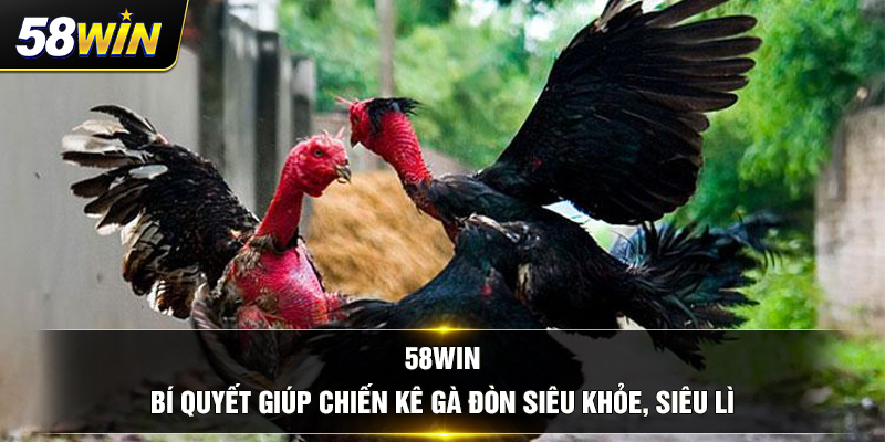 58win bi quyet giup chien ke ga don sieu khoe sieu li