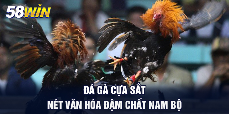 da ga cua sat net van hoa dam chat nam bo