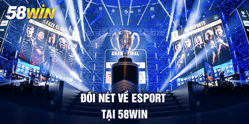 doi net ve esport tai 58win