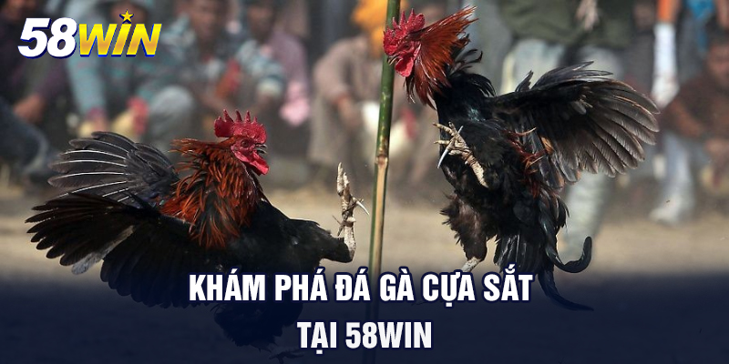 kham pha da ga cua sat tai 58win