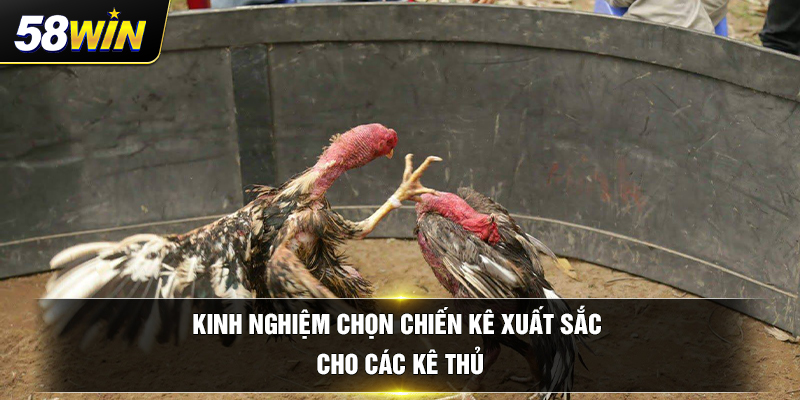 kinh nghiem chon chien ke xuat saccho cac ke thu