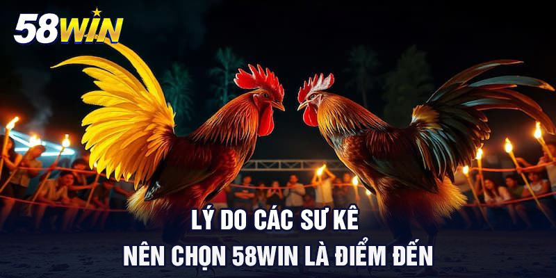 ly do cac su ke nen chon 58win la diem den